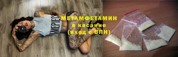 индика Верхний Тагил